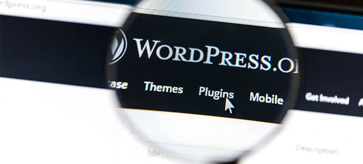 Plugins para WordPress