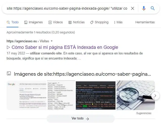 Comando para buscar en Google fragmentos de contenido concretos en una URL