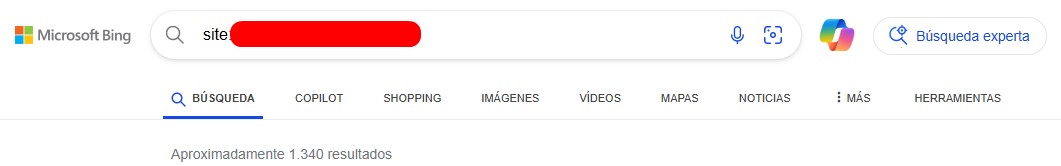 Resultados de URLs indexadas de la web en Bing