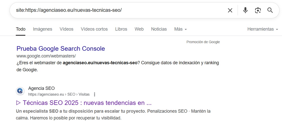 Página indexada en Google