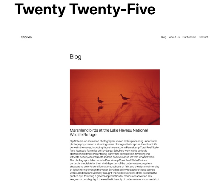 plantilla wordpress block themes