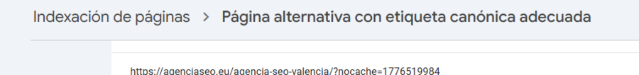 ejemplo de indexación de página en Google