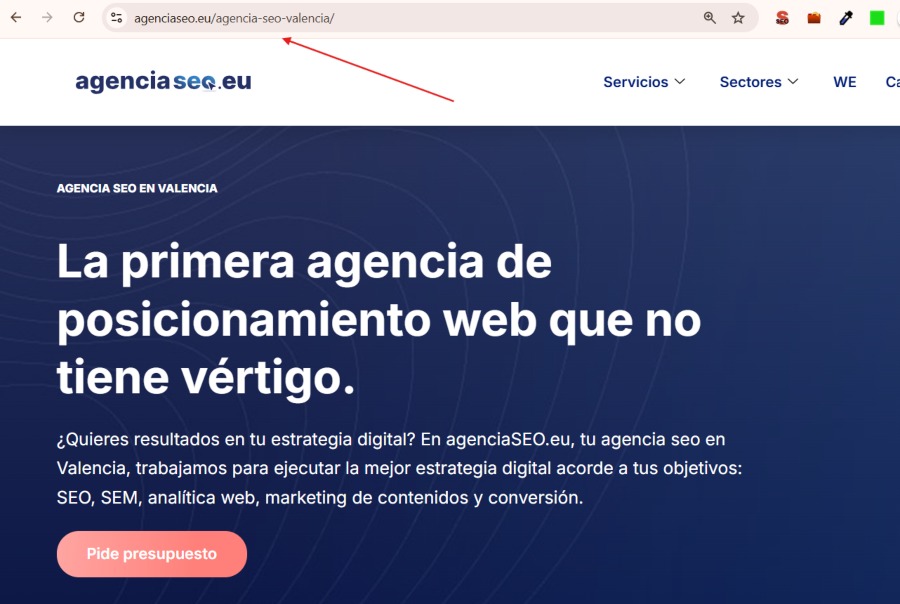 ejemplo de URL canónica